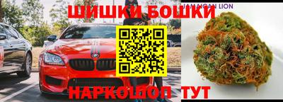 apvp Партизанск