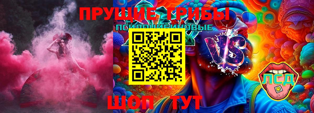 дарнет шоп  Псилоцибиновые грибы мицелий  Вход с VPN  Бутурлиновка 
